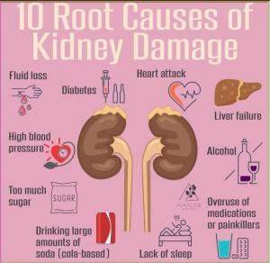 10 Root Causes of Kidney Damage – Dr. Debabrata Mukherjee